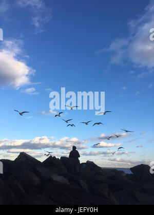 Uomo seduto su un mucchio di rocce che alimentano gabbiani in volo in spiaggia. Coney Island, New York. Gabbiani volanti, silhouette contro un cielo blu Foto Stock