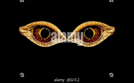 Terribile orribile occhi animale fantastico o uccello su uno sfondo nero. Occhi dinosauro o serpenti. Illustrazione Vettoriale