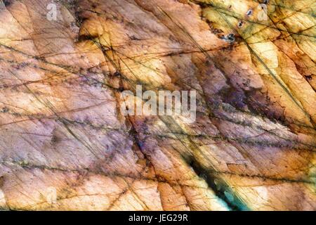 Lucidati Labradorite Crystal. Un Plagioclase Tectosilicate, visualizzazione di colori iridescenti via Labradorescence. Foto macro, UK, Giugno 2017. Foto Stock