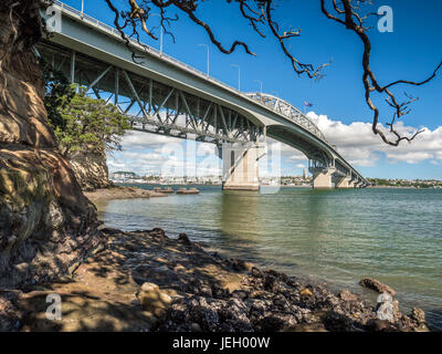 Harbour Bridge con skyline di Auckland, Isola del nord, Nuova Zelanda Foto Stock