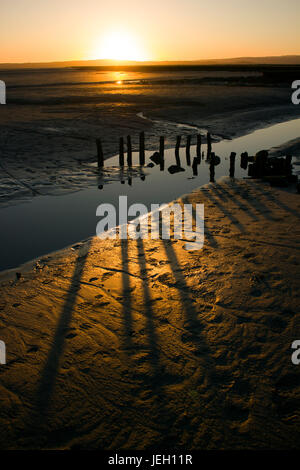 Grange-over-Sands Beach SUNSET, vicino al distretto del lago. La bassa sun la creazione di ombre. pali in legno potrebbe essere stato utilizzato per un pesce trappola. Estuario di marea. Foto Stock