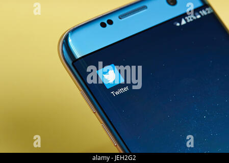 New york, Stati Uniti d'America - 23 Giugno 2017: Twitter applicazione icona sulla schermata dello smartphone di close-up. L'app Twitter icona con copia spazio su schermo Foto Stock