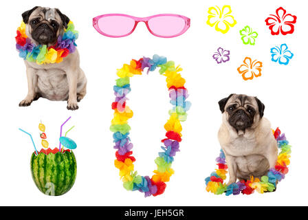 Carino pug cucciolo di cane con colorati summer party elementi, isolati su sfondo bianco Foto Stock