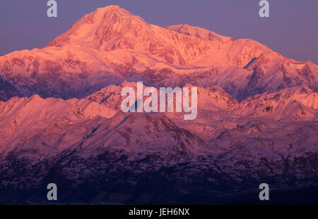 Alpenglow sul Denali di sunrise, visto dal punto di vista di Denali verso sud lungo l'autostrada parchi all'inizio dell'inverno; Alaska, Stati Uniti d'America Foto Stock