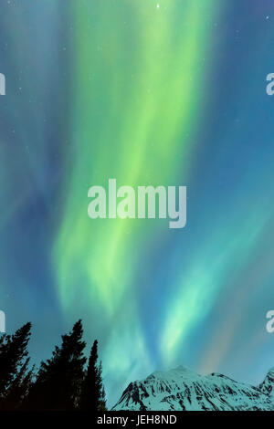 Green Aurora Borealis danze oltre le Kenai Mountains, Moose Pass, Penisola di Kenai, sud-centrale; Alaska Alaska, Stati Uniti d'America Foto Stock