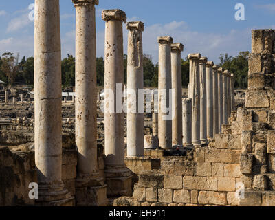 Beit She'arim Parco Nazionale, sito archeologico in Bassa Galilea; Beit Shean, distretto del Nord, Israele Foto Stock