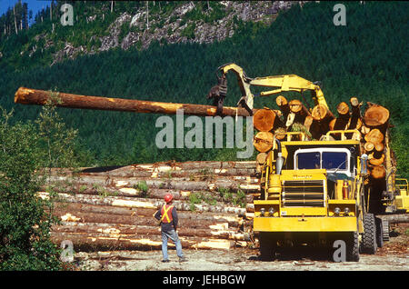 Logger in lavoro Foto Stock