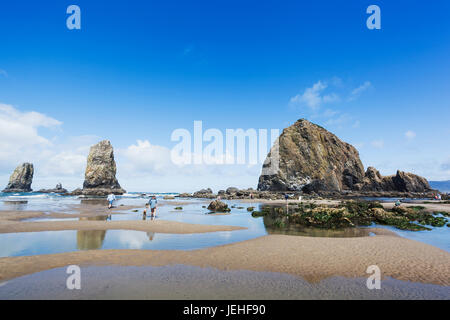 I turisti a passeggio tra le pozze di marea e alghe marine rocce coperte con la bassa marea lungo la costa dell'Oregon; Bandon, Oregon, Stati Uniti d'America Foto Stock