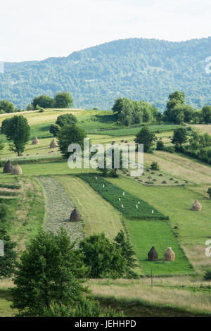 Una vista del paesaggio di colline in Maramures Foto Stock