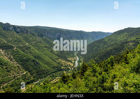 Gorges du Tarn Visualizza sito Patrimonio Mondiale dell'UNESCO. Grands Causses Parco naturale regionale. Lozere. Occitanie. Francia Foto Stock