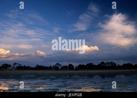 Stagno di picnic, St Marks National Wildlife Refuge, Florida Foto Stock