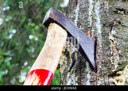 Un'ascia è bloccato in una struttura ad albero nella foresta Foto Stock