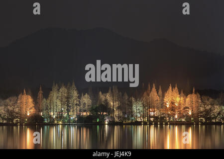 Incantevole illuminazione wharfside del West Lake, Hangzhou, Cina Foto Stock