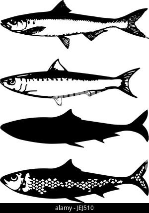 Vettore di sardine e pesce bianco e nero, tagliate Illustrazione Vettoriale