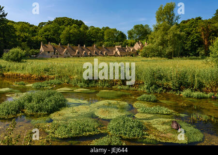 Arlington Row & Fiume Coln, Bibury, Cotswolds, REGNO UNITO Foto Stock