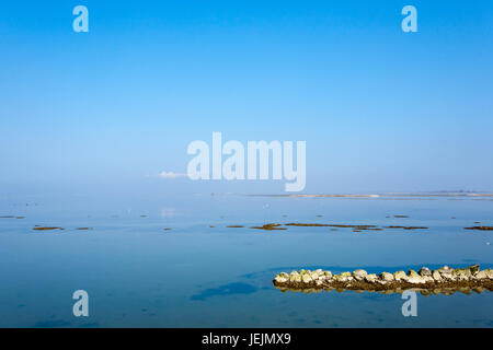 Scardovari spiaggia paesaggio. Fiume Po laguna, Italia. Punto di riferimento italiano Foto Stock