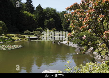 Giardino giapponese, Seattle Arboretum Foto Stock