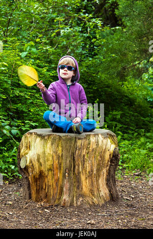 Ragazzo seduto su un ceppo di albero e sventola una foglia Foto Stock