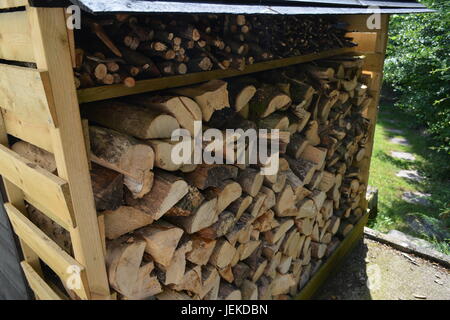 Legname di legno negozio di registro completamente rifornito con un trito di legno per l'inverno fuochi bruciatori in legno ri riscaldamento mantenendo calda England Regno Unito Foto Stock