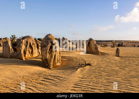 I Pinnacoli, Nambung National Park, Perth, Australia occidentale, Australia Foto Stock