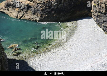 Seal nuoto nelle scuderia, Ramsey Island, Galles UK Foto Stock