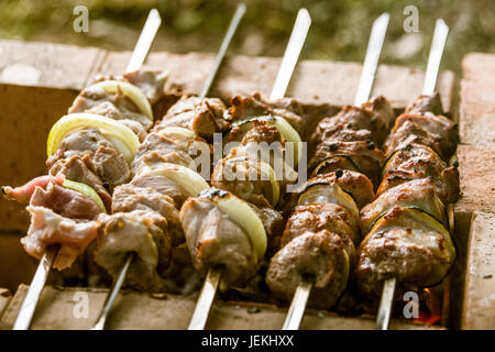 Gustosa carne di maiale con cipolle pronto per un picnic. Barbecue vicino. Foto Stock