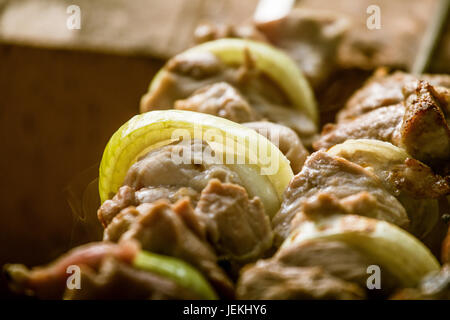 Gustosa carne di maiale con cipolle pronto per un picnic. Barbecue vicino. Foto Stock