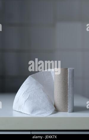 The last sheet of toilet paper on the roll in a bathroom Foto Stock