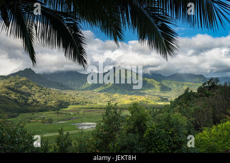 Valle di Hanalei da Princeville si affacciano Kauai Foto Stock