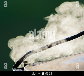 La cucina in natura. Calderone sul fuoco in foresta Foto Stock