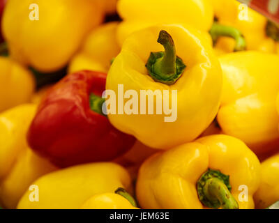 Peperone giallo su rosso Foto Stock