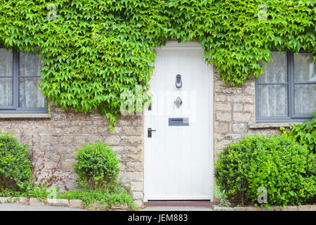 Bianco porte in legno in un tradizionale vecchio inglese cottage in pietra circondato dal verde di arrampicata di piante di vite . Foto Stock