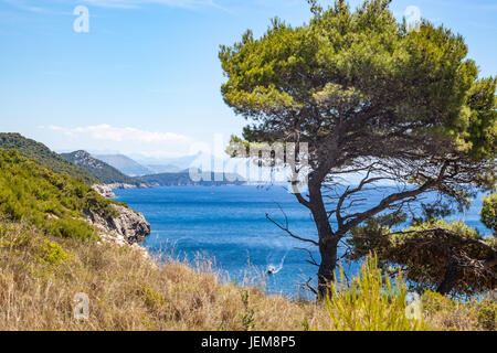 Sunj Beach, una popolare spiaggia di sabbia sulla isola di Lopud, isole Elafiti (Elaphites), costa dalmata, Mare Adriatico, Croazia Foto Stock