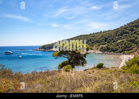 Sunj Beach, una popolare spiaggia di sabbia sulla isola di Lopud, isole Elafiti (Elaphites), costa dalmata, Mare Adriatico, Croazia Foto Stock