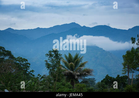 Rwenzori Mountains scenario - Distretto di Bundibugyo, Uganda. Foto Stock