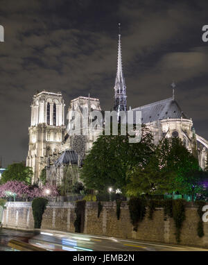 Una illuminata la cattedrale di Notre Dame di tutta la Senna: Il fiume murata costituisce una base per questa sera vista della famosa cattedrale della facciata ovest. Alberi in fiore fiorisce in primavera illuminato da una barca di passaggio. Foto Stock