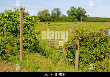 Una vista del gateway a un sentiero pubblico attraverso il pascolo dei prati dal fiume Bure a poco hautbois, Norfolk, Inghilterra, Regno Unito. Foto Stock