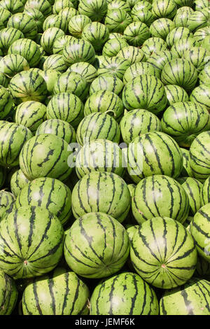 Grandi quantità di verde e fresco cocomeri visualizzata su un mercato locale in Cina Foto Stock