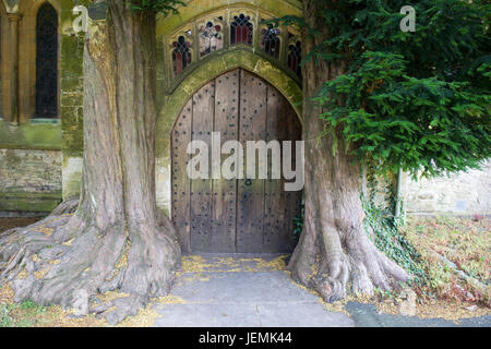 Yew alberi che fiancheggiano la porta di nord portico di St Edwards chiesa parrocchiale di Stow on the Wold Foto Stock