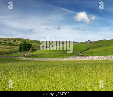 Pareti in pietra calcarea e fienili nel pittoresco paesaggio di Wharfedale. Campagna verde, blu cielo, giorni d'estate. Yorkshire Dales scenario, England, Regno Unito Foto Stock