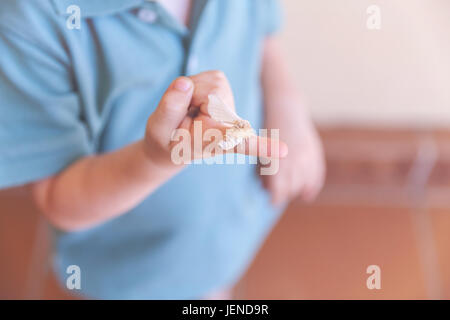 Ragazzo che tiene una falena di seta Foto Stock