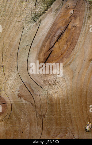 Immagine di sfondo di tagliare il legname con grana di legno e nodi Foto Stock