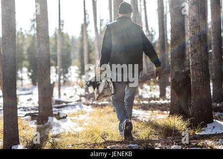 Uomo a camminare attraverso la foresta con chainsaw in inverno Foto Stock