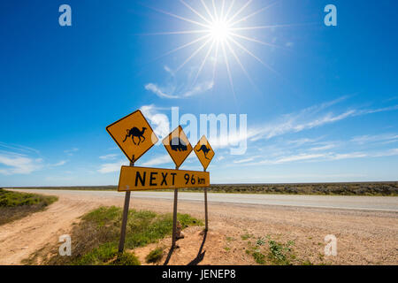 Segnaletica stradale sulla Nullarbor Plain, Australia occidentale, Australia Foto Stock