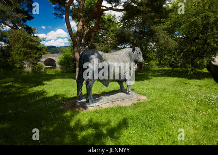Scultura di Welsh Black Bull da Gavin Fifieldin Builth Wells Powys Wales UK Foto Stock