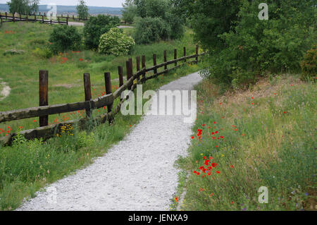 Grintoso percorso a piedi in tipico rurale scena. Escursionismo road. Foto Stock