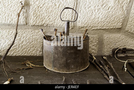 Vecchi strumenti per impianti ad innesto, dettaglio di agricoltura e di coltivazione Foto Stock