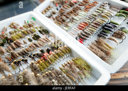 Esche da pesca, close-up Foto Stock