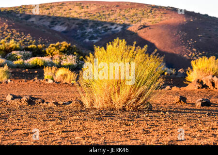 Vista di El volcan Teide Tenerife Foto Stock