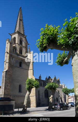 Mirepoix cattedrale Saint Maurice in Mirepoix, Ariège, Francia. Foto Stock